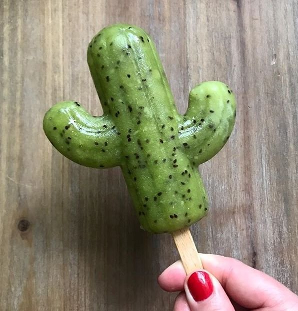 Molde Helado Original Cactus